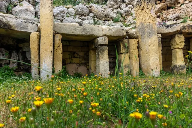 Neolithic Temples Malta 