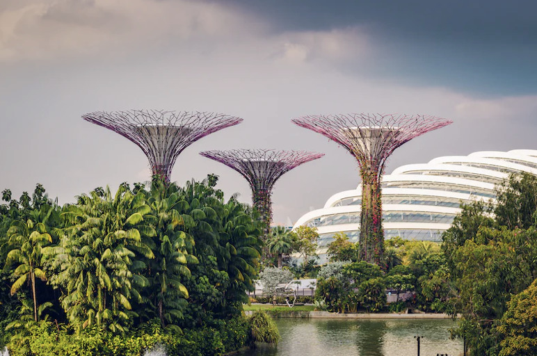 Gardens by the bay Singapore 