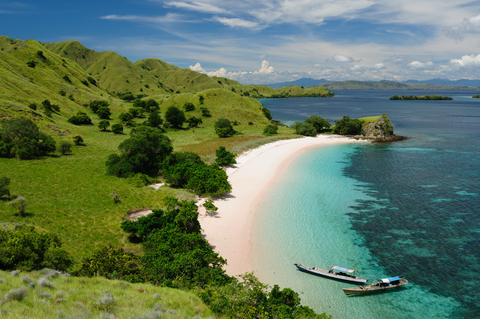 Komodo island Indonesia 
