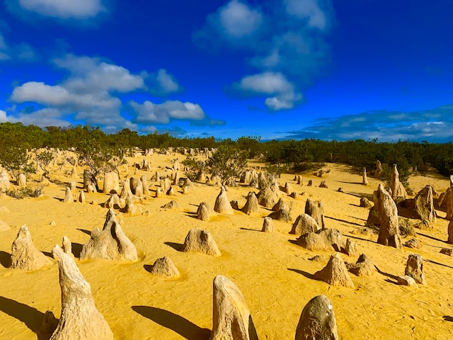 The Pinnacles Australia 