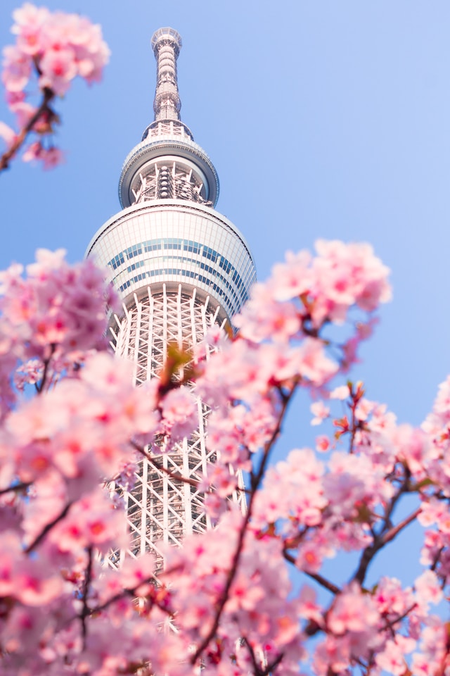The Tokyo Skytree 