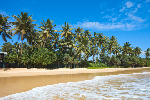 Sri Lanka beach 