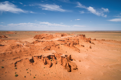 The gobi desert 

