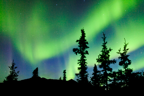 Northern Lights Yukon, Canada 