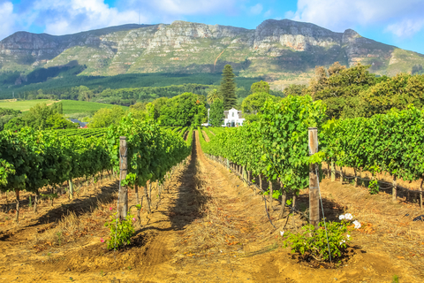 Stellenbosch wine route 