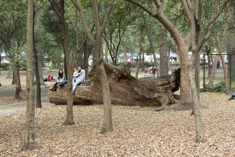 Chapultepec Park 